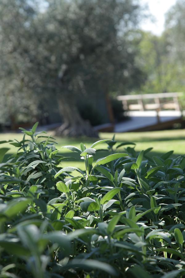 Madonnella Agricola Villa Cesano Exterior photo