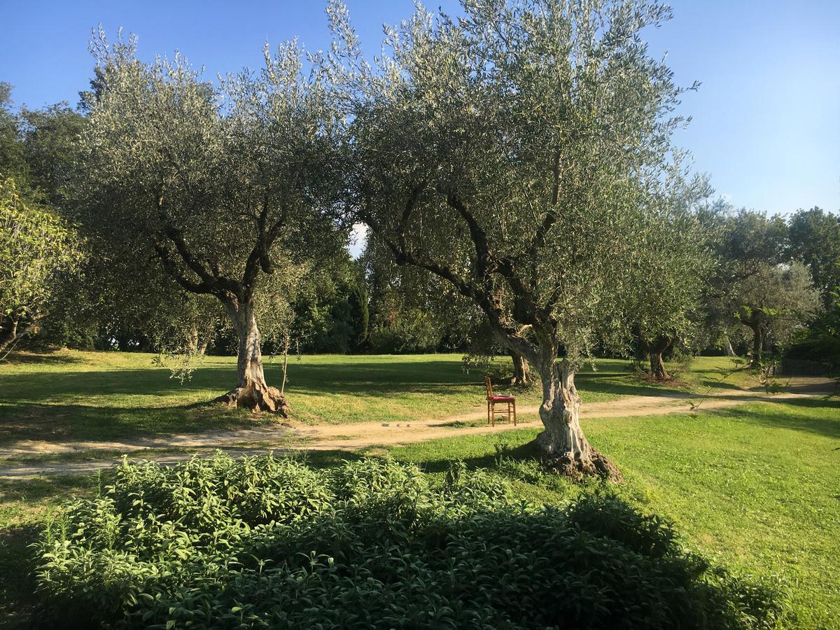 Madonnella Agricola Villa Cesano Exterior photo