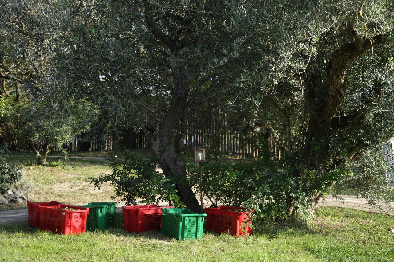 Madonnella Agricola Villa Cesano Exterior photo