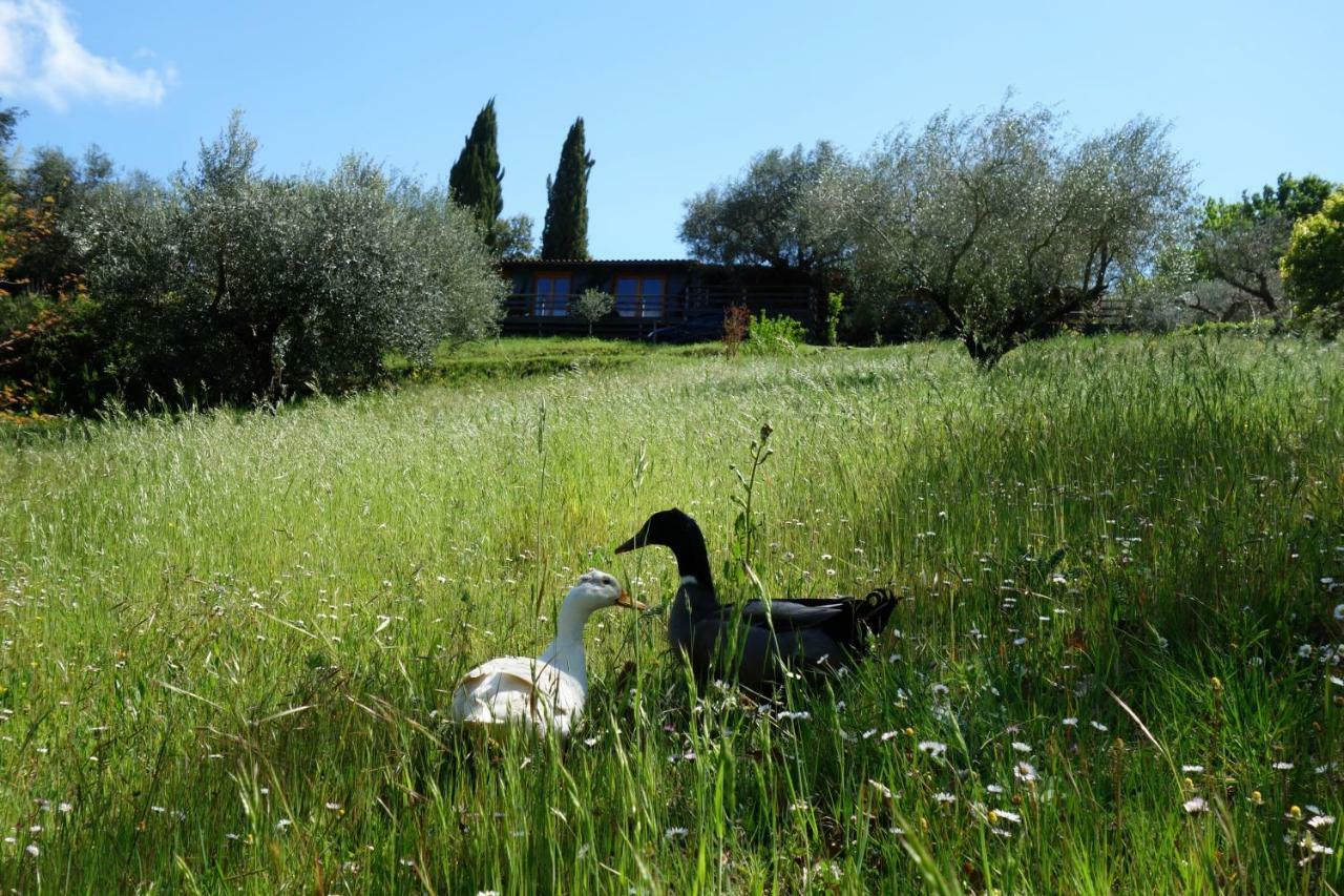 Madonnella Agricola Villa Cesano Exterior photo