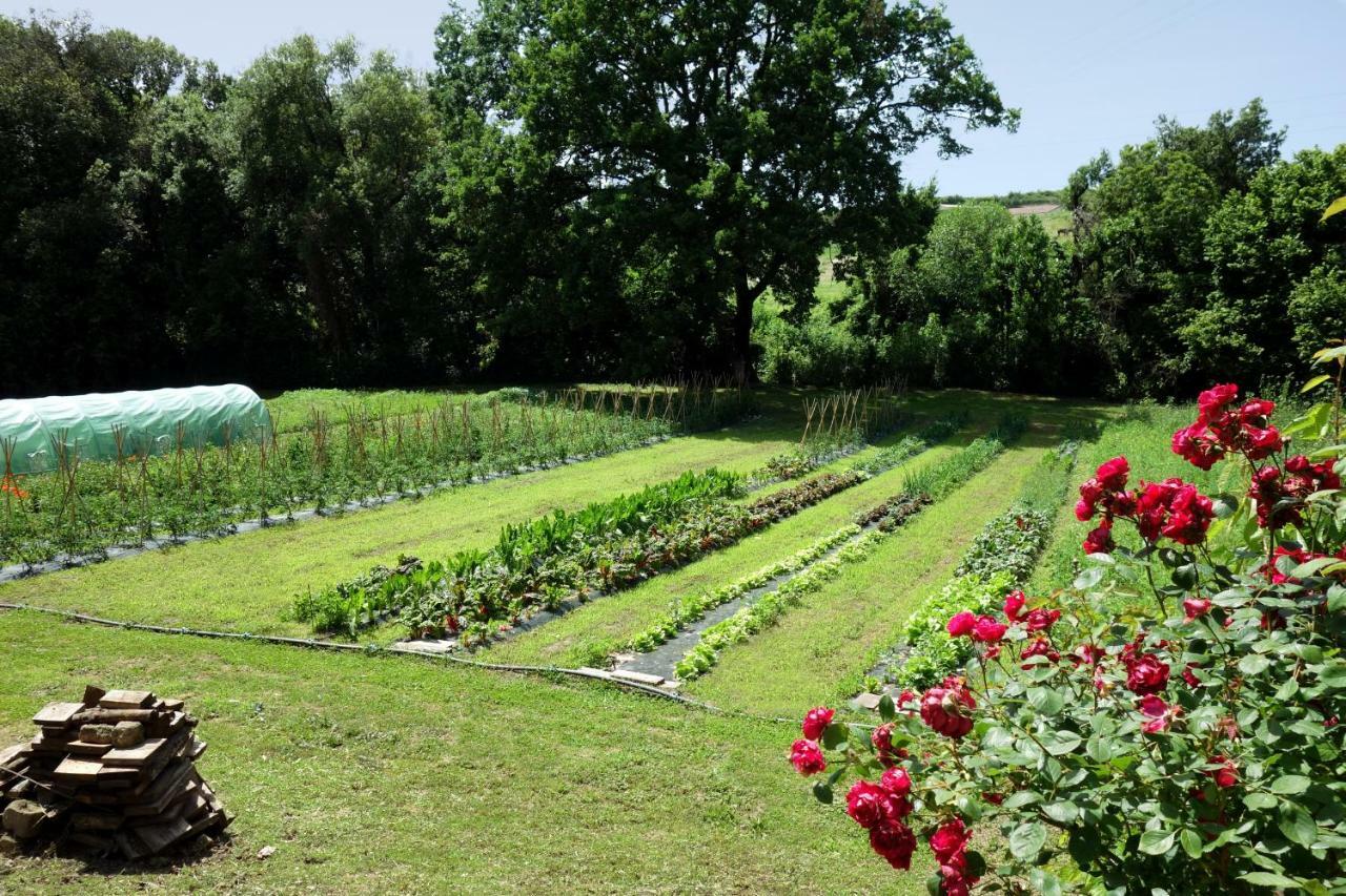 Madonnella Agricola Villa Cesano Exterior photo