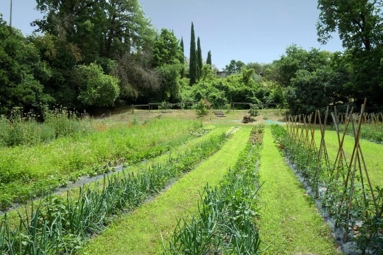 Madonnella Agricola Villa Cesano Exterior photo